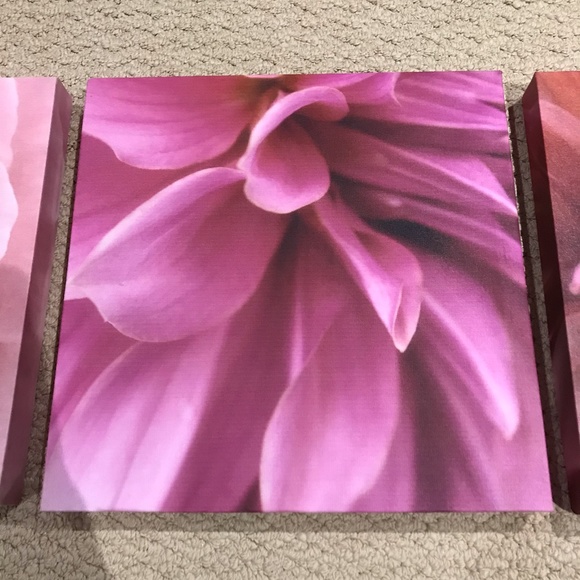 Floral Canvas Prints (Set of 3) - Picture 3 of 7